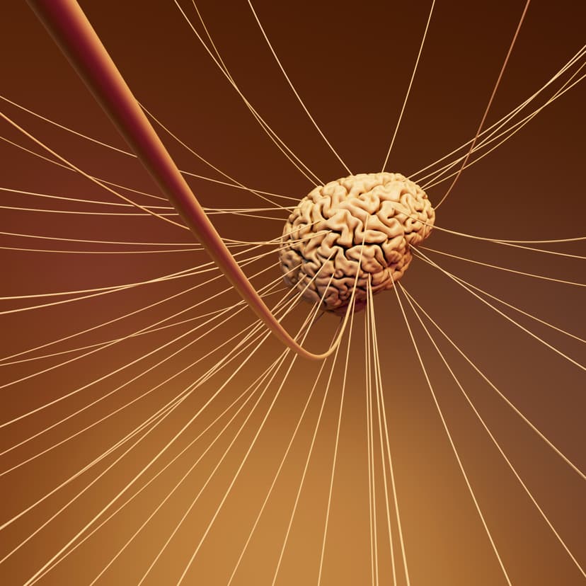 Akupresür Yöntemiyle Akupunktur Eğitimi