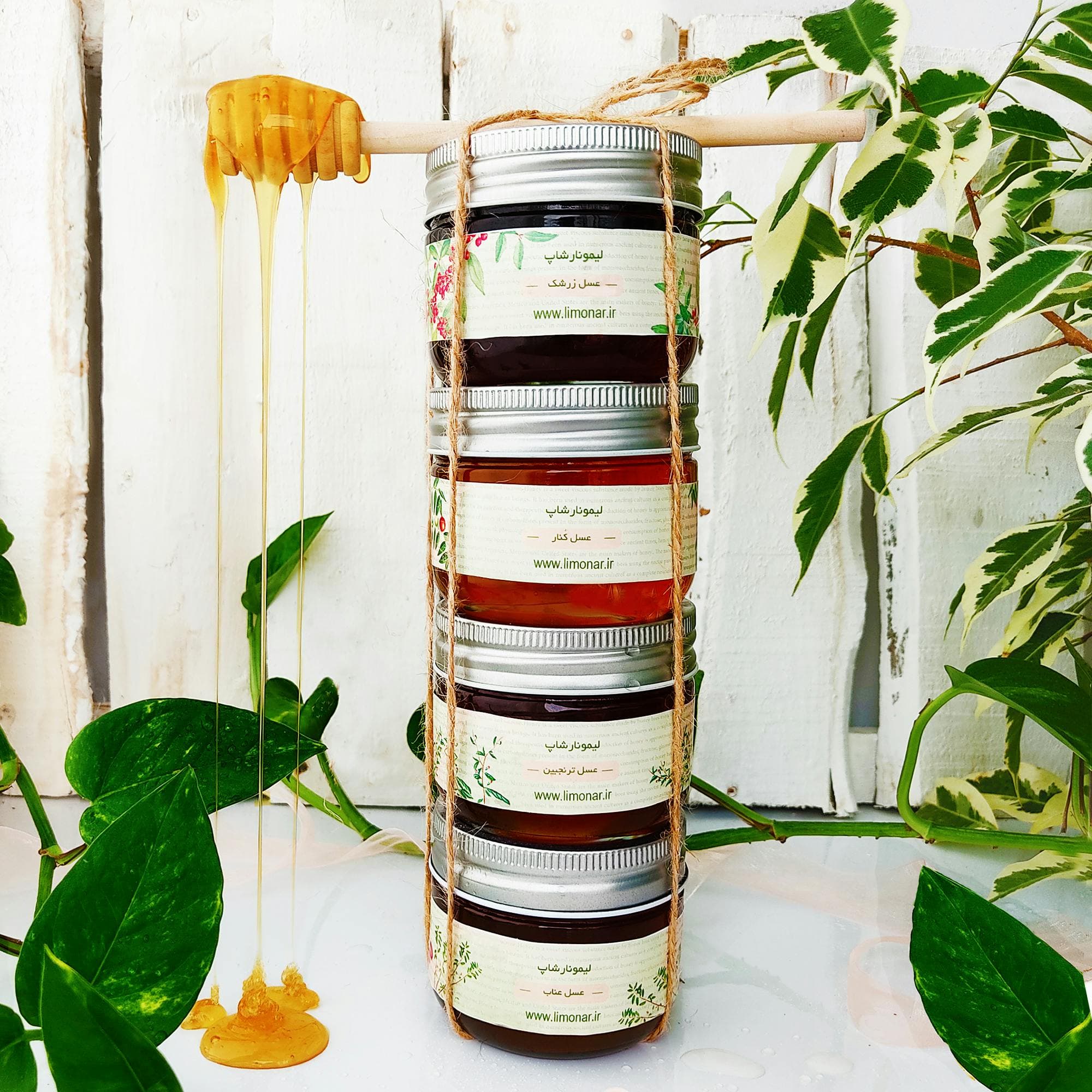 Apiterapi ve Arıcılık Eğitimi