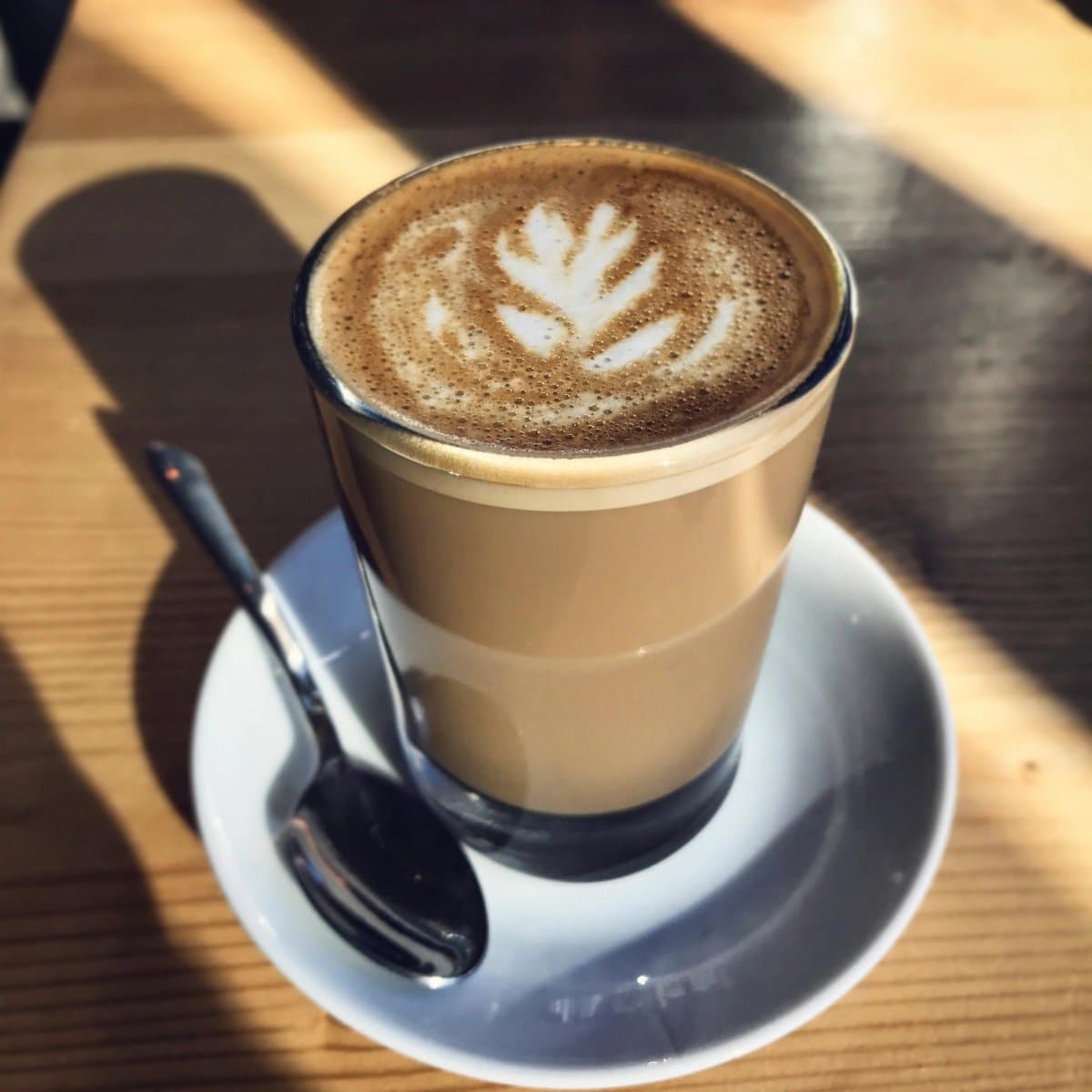Profesyonel Barista Eğitimi eğitimi kapak görseli